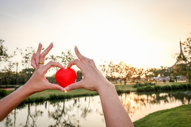 Foto menschenhand, die rotes schwammherz über dem see hält