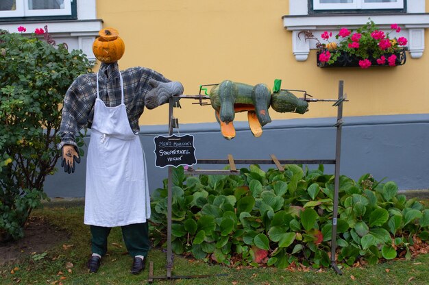 Foto menschliche darstellung durch kürbiss auf spitze und pflanzen