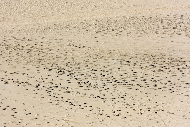 Menschliche Fußabdrücke auf dem Sand des Meeresbodens bei Ebbe