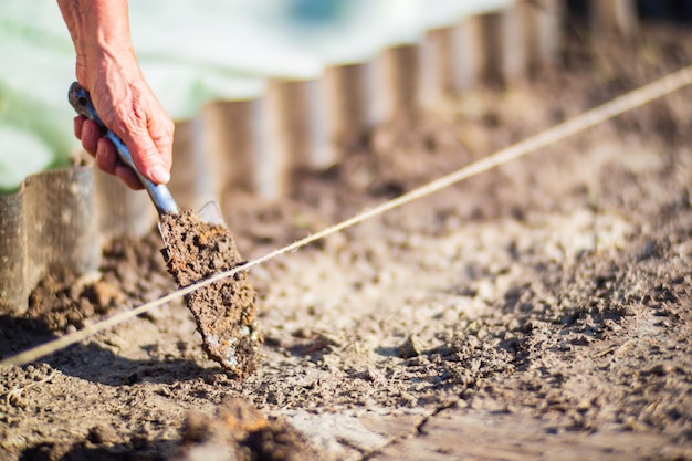 Menschliche Hände bereiten den Boden für den Anbau von Pflanzen im Garten vor Bebautes Land aus nächster Nähe Gartenkonzept Landwirtschaftliche Pflanzen, die in der Bettreihe wachsen