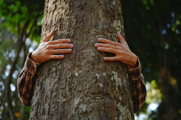 Foto menschliche hände berühren den baum, umarmen den baum oder schützen die umwelt co2 net zero-konzept umweltverschmutzung klima