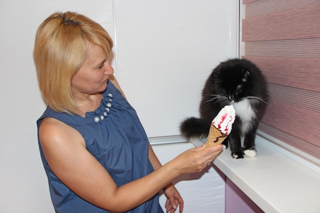 Menschliche Hand bietet einer schwarzen Katze Eis zu essen Überraschte Katze mit Eis