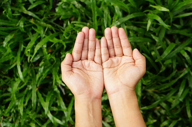 menschliche Hand, die nach Hilfe greift