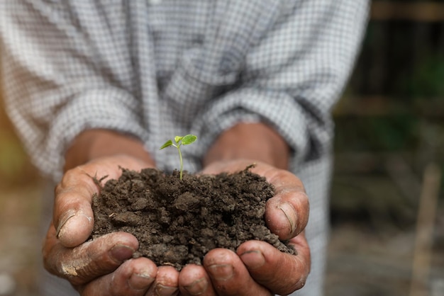 Menschliche Hand, die Samen mit Erde auf verschwommenem landwirtschaftlichen Feldhintergrund hält Weltbodentag-Konzept