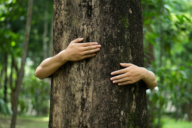 Foto menschliche hand hugo-baumstamm