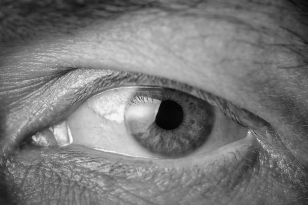 Foto menschliche männliche augen-close-up auf makrofotos