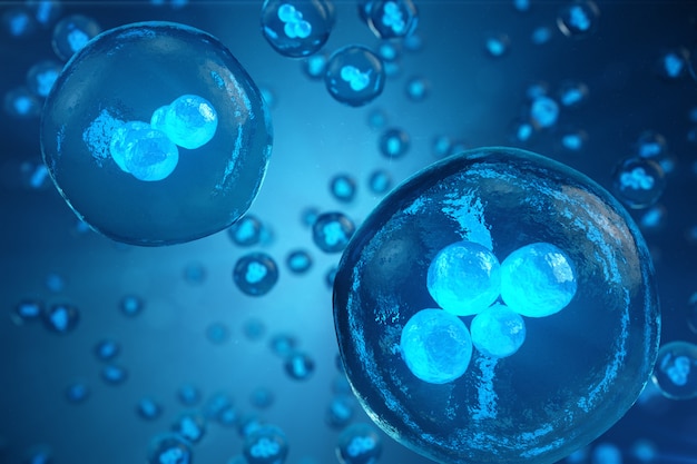 Menschliche oder tierische Zellen auf blauem Hintergrund. Konzept Frühes Stadium Embryo Medizin wissenschaftliches Konzept, Stammzellforschung und -behandlung. 3D-Illustration.