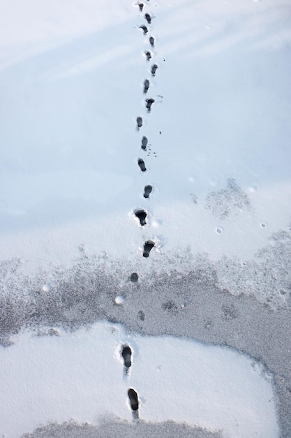 Menschliche Spuren im weißen Schnee ein Blick von oben