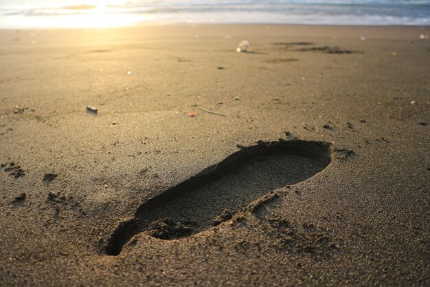 Menschlicher Fußabdruck auf tropischem Strandhintergrund des Sandsommers mit Exemplar.