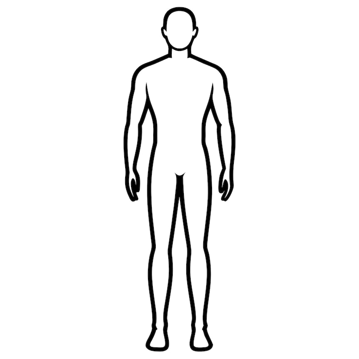 Foto menschlicher körper silhouette bildkunst für vektorillustration auf weißem hintergrund