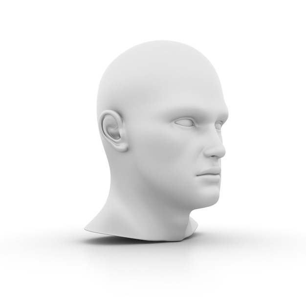 Menschlicher Kopf des 3D-Cartoons