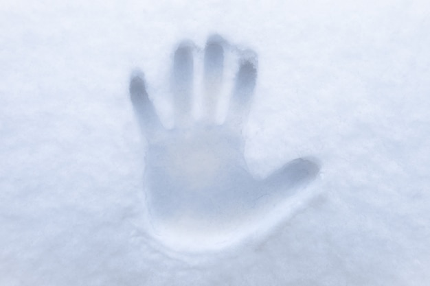 Menschlicher Palmenabdruck auf Neuschnee.