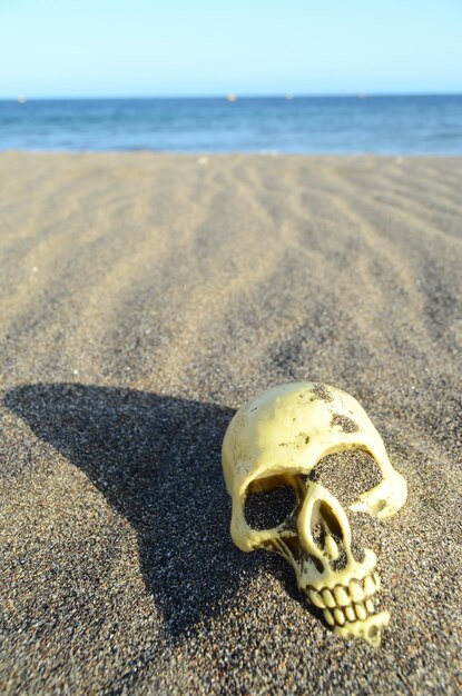 Foto menschlicher schädel am sandstrand in der nähe des ozeans