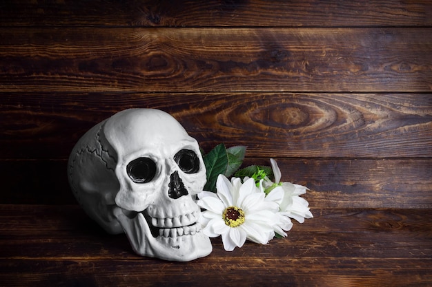 Menschlicher Schädel mit weißen Blumen auf brauner Holzoberfläche Vanitas-Stillleben