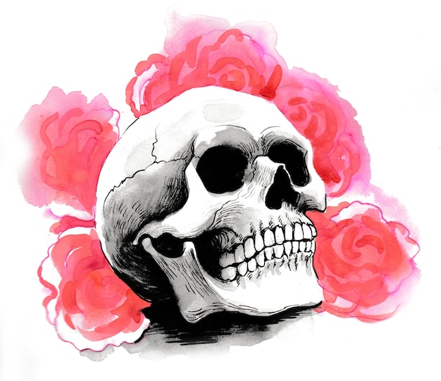 Menschlicher Schädel und rote Rosen. Tusche- und Aquarellzeichnung