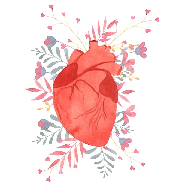 Menschliches Herz, menschliche innere Organe, Blumen, Zweige, Aquarell-Illustration für Kardiologie-Thema