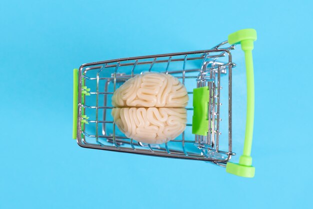Menschliches plastisches Gehirn in einem Einkaufswagen auf einem blauen Raum, Intelligenz kaufend