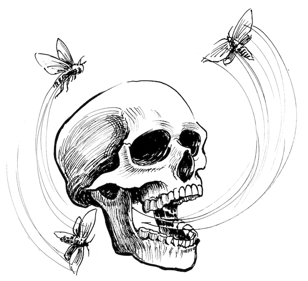 Menschliches Skelett und fliegende Motten. Tinte Schwarz-Weiß-Zeichnung