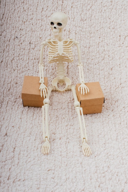 Foto menschliches skelettmodell für die medizinische anatomiewissenschaft, das mit box posiert