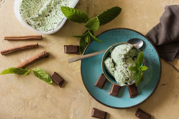 Foto menta casera y helado de chocolate.