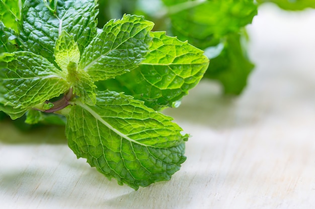 Menta fresca en el fondo de madera