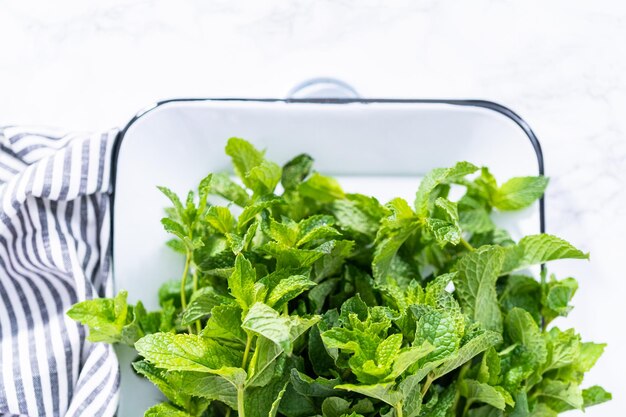 Menta fresca de la huerta orgánica sobre un fondo de mármol.