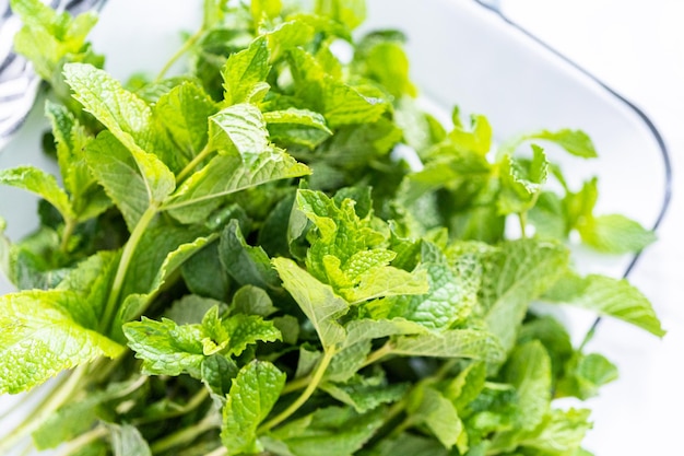 Menta fresca de la huerta orgánica sobre un fondo de mármol.