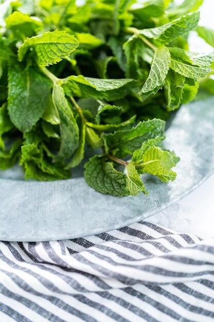 Menta fresca de la huerta orgánica sobre un fondo de mármol.