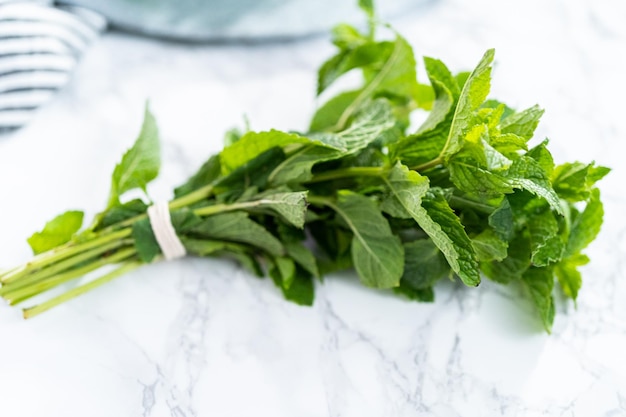 Menta fresca de la huerta orgánica sobre un fondo de mármol.