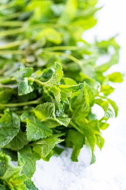 Menta fresca de la huerta orgánica sobre un fondo de mármol.