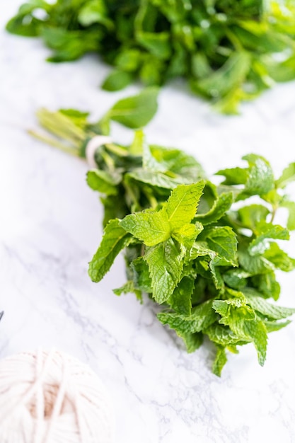 Menta fresca de la huerta orgánica sobre un fondo de mármol.