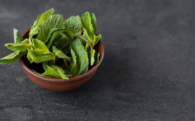 Menta en un plato sobre una mesa oscura