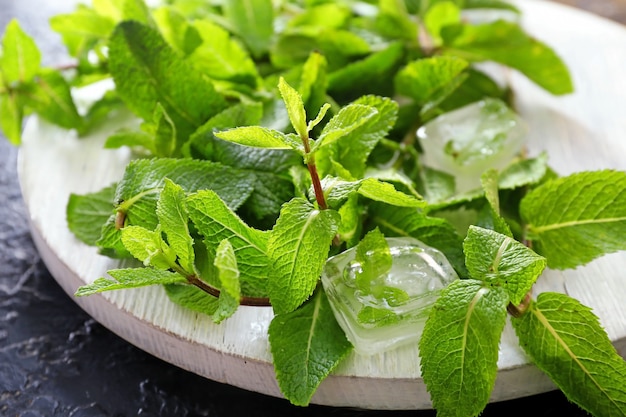 Menta verde fresca y cubitos de hielo en la mesa