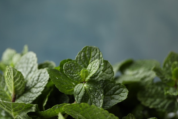 Menta verde fresca con gotas de agua, de cerca