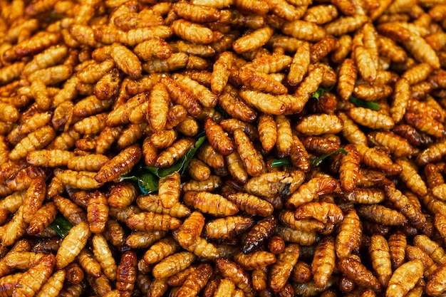 Mercado de comida asiática Un mostrador con insectos fritos