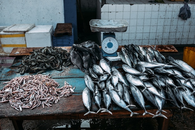 Mercado de peixes marinhos na Ásia. Mercado de rua no Sri Lanka. Vendas de peixe fresco na Índia. Peixe acabado de pescar. Loja de peixes. Produtos para restaurante. Pesca. Frutos do mar. Pescador. Pegar. Comida fresca