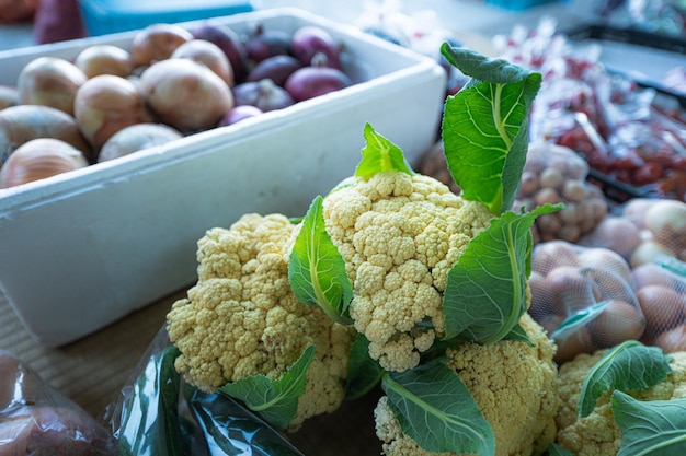 Mercado de vegetais da manhã japonesa