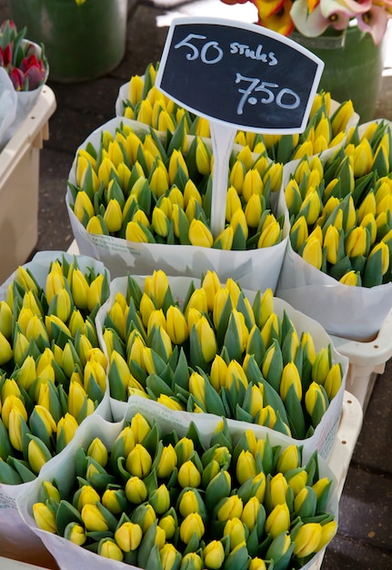 Mercado de flores