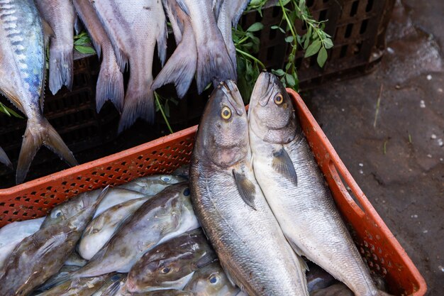 Mercado local marroquí en las calles con especias frutos secos pescado frutas y verduras