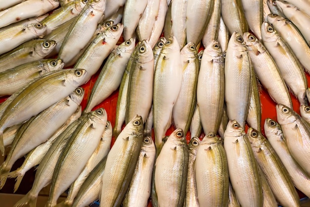 Mercado de mariscos y pescados crudos. Foto del concepto de comida.