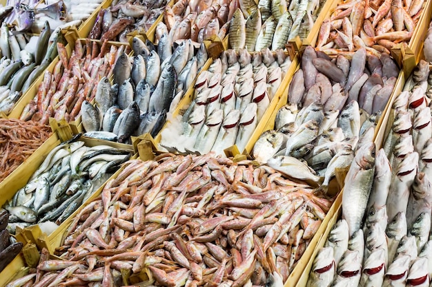 Mercado de mariscos y pescados crudos. Foto del concepto de comida.