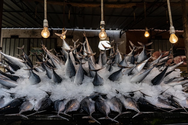 Mercado de pescado de la calle Pescado fresco en hielo