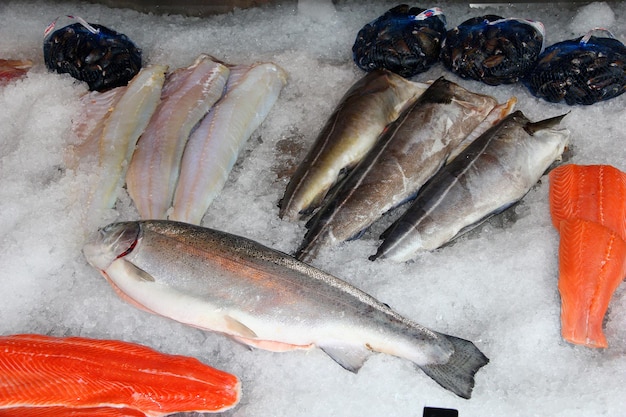 El mercado de pescado local Bergen Noruega