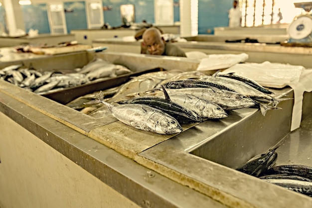 Mercado de pescado de Mutrah hombre omaní vendiendo pescado fresco en el mercado de Muscat, Omán