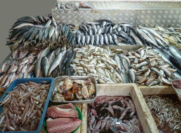 mercado de pescado