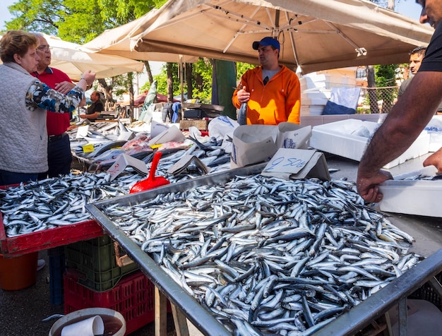 Mercado de pueblo griego en la isla de Evia con pescado y una variedad de mariscos en Grecia