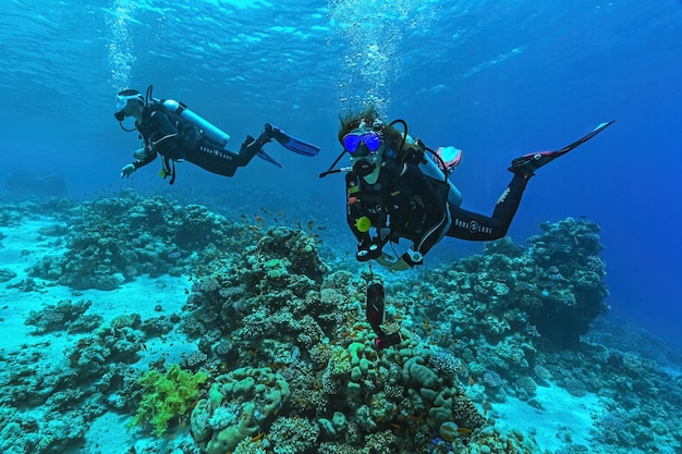 Mergulhadores no Mar Vermelho em Dahab Mergulho no Egito