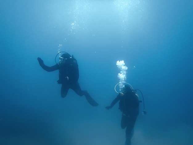 Mergulho. divers underwater.