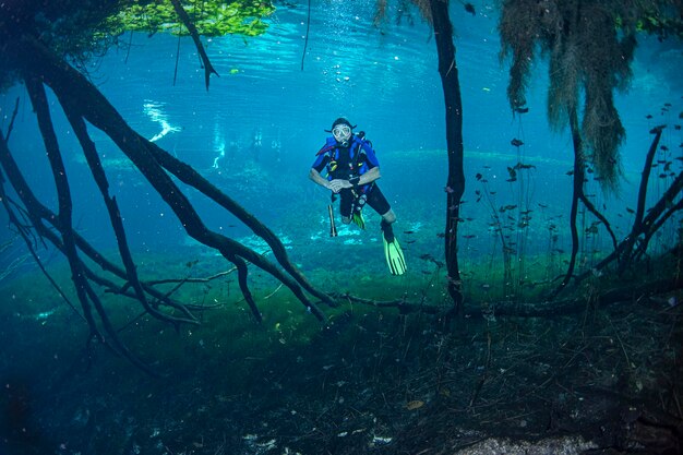Foto mergulho em cavernas em cenotes mexicanos
