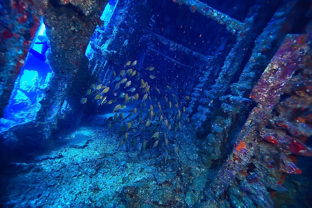 mergulho em naufrágio thistelgorm, mergulho histórico de aventura subaquática, caça ao tesouro